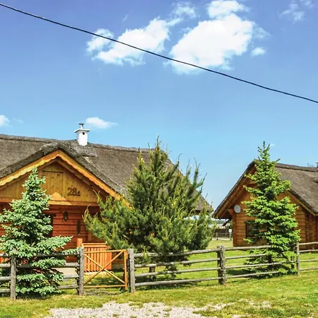 Holiday home Amazing Home In Mscice With Wifi Podamirowo